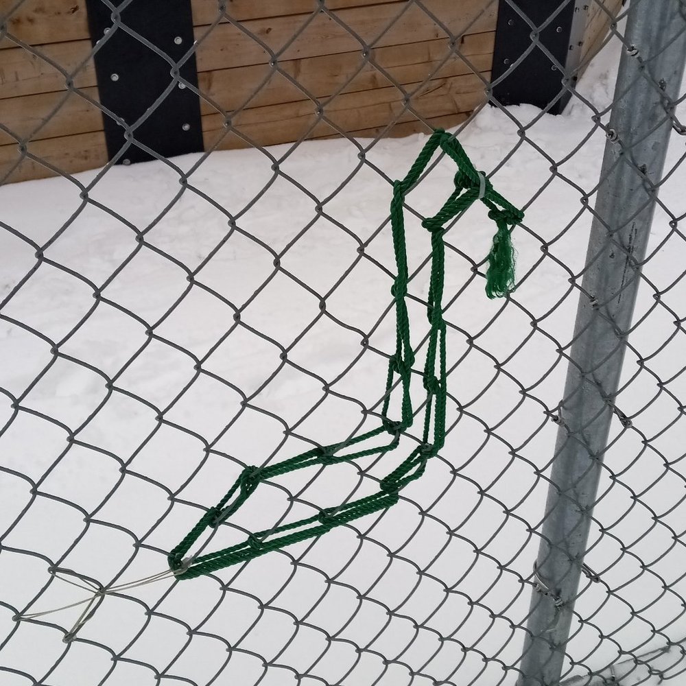 Meet your Posher, Maxime